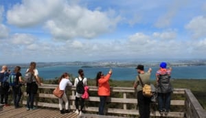 Auckland Sightseeing