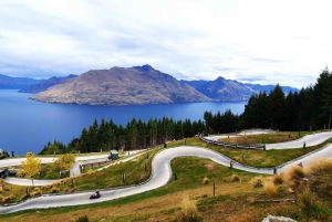 Milford Sound, Mount Cook och mer: 4-dagars tur från Auckland