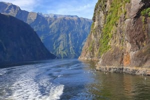 Milford Sound, Mount Cook och mer: 4-dagars tur från Auckland