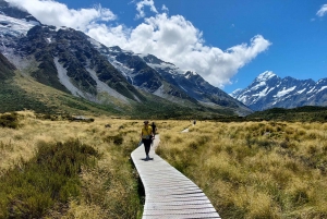 Milford Sound, Mount Cook og meget mere: 4-dages tur fra Auckland