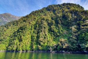 Milford Sound, Mount Cook og meget mere: 4-dages tur fra Auckland