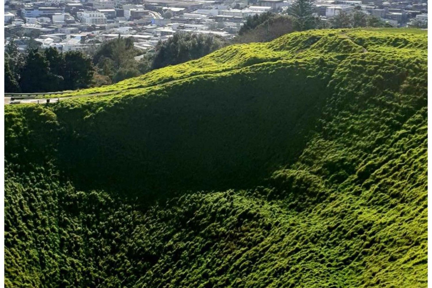 5-stündiger privater Stadtausflug zu den Schätzen von Auckland