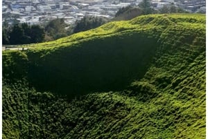 5 Hour Private City Excursion Unveiling Auckland's Treasures