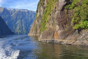 从奥克兰出发的6天新西兰南岛私人游