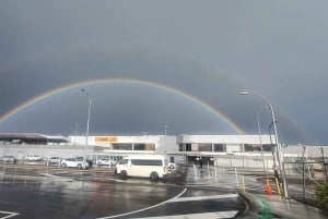 Auckland: Yksityinen lentokenttäkuljetus