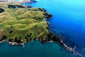 Auckland: Auckland City & Hauraki Gulf Scenic Flight
