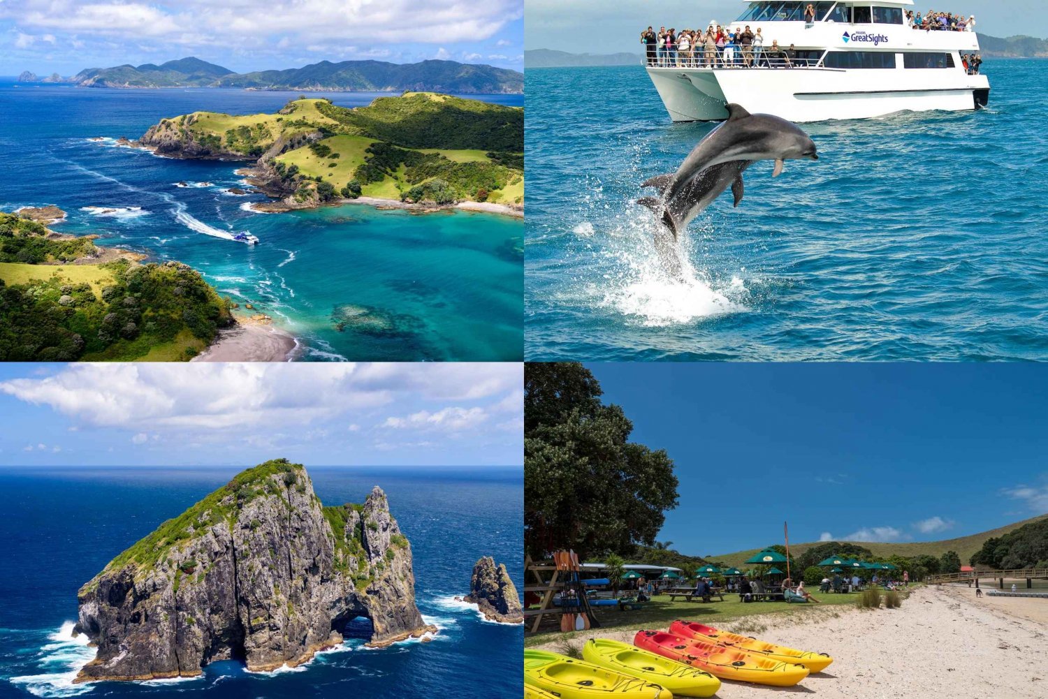 Auckland: Excursión de un día a la Bahía de las Islas con Crucero con Delfines