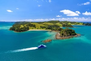 Auckland: Tour di un giorno della Baia delle Isole con crociera con i delfini