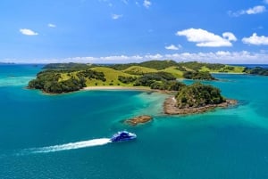 Auckland: Bay of Islands Day Tour with Dolphin Cruise