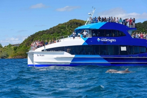 Auckland: Dagstur i Bay of Islands med delfincruise