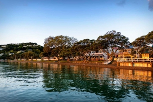 Auckland: Tour di un giorno della Baia delle Isole con crociera con i delfini