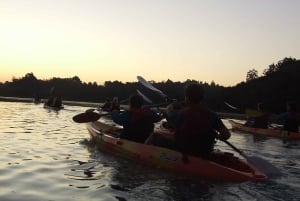 Auckland : Visite nocturne en kayak de la bioluminescence avec encadrement