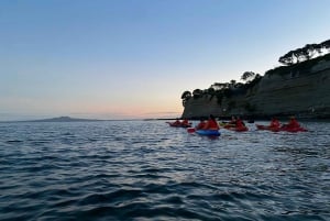 Auckland : Visite nocturne en kayak de la bioluminescence avec encadrement