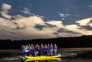 Auckland: Excursión en Kayak por la Bioluminiscencia