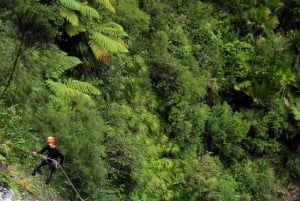 Auckland Canyoning sademetsäseikkailu