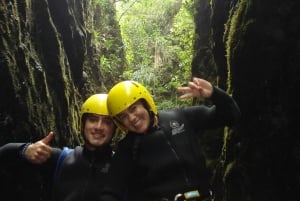 Auckland Canyoning äventyr i regnskogen