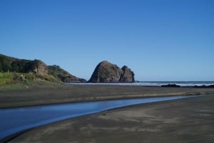 Auckland Canyoning Rainforest Adventure