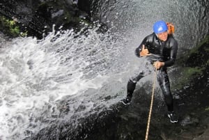 Auckland Canyoning Rainforest Adventure