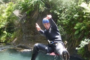 Auckland Canyoning äventyr i regnskogen