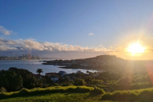 Privado a Medida: Tour por el tesoro oculto de la ciudad de Auckland