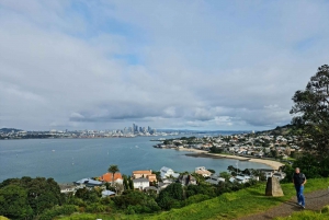 Privado a Medida: Tour por el tesoro oculto de la ciudad de Auckland