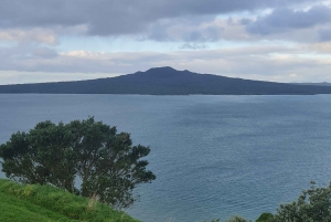 Privado a Medida: Tour por el tesoro oculto de la ciudad de Auckland