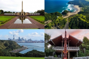 Auckland: Hoogtepunten van de stad en Native Forest Experience