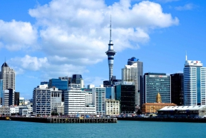 Auckland: City Highlights and Native Forest Experience