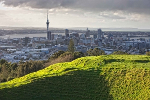 Auckland: Najważniejsze atrakcje miasta i doświadczenie rodzimego lasu