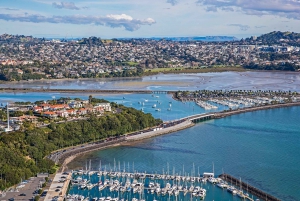 Auckland: City Highlights and Native Forest Experience