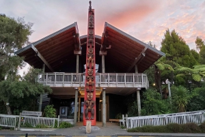 Auckland: Hoogtepunten van de stad en Native Forest Experience