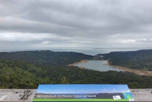 Auckland: Byens høydepunkter og opplevelse av innfødt skog