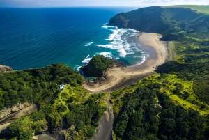 Auckland: Lo más destacado de la ciudad y la experiencia del bosque autóctono