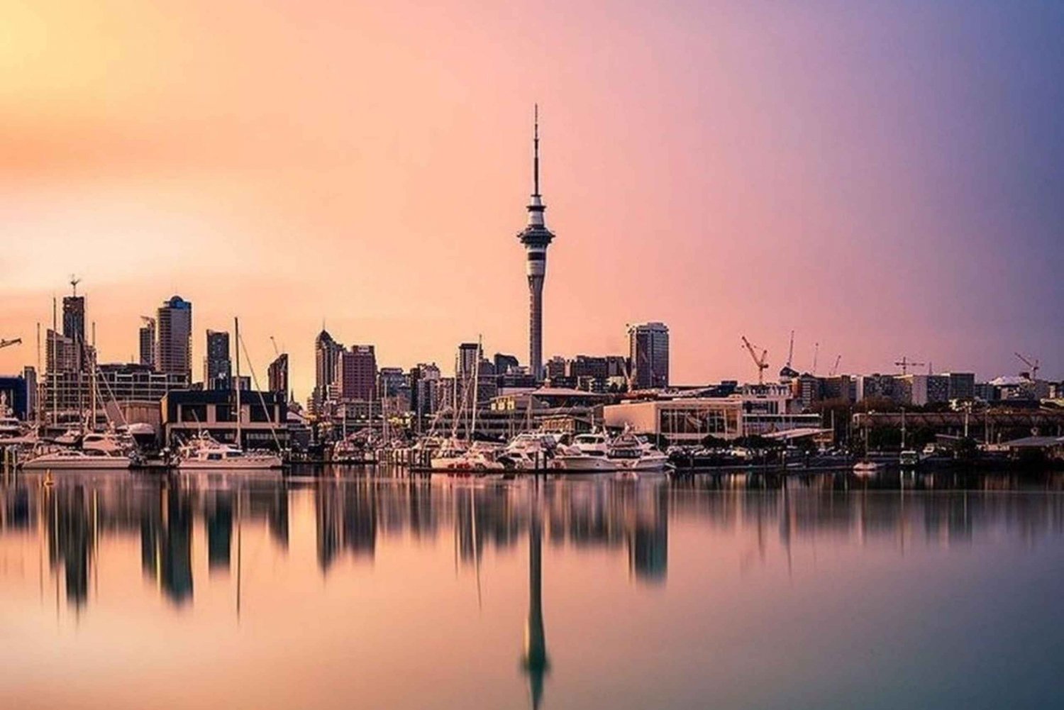 Lo mejor de la ciudad de Auckland en un tour de día completo