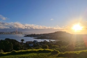 Auckland City Highlights Full Day Tour