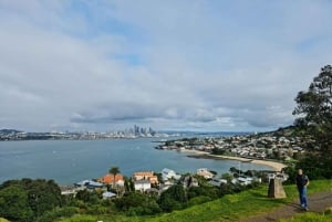 Lo mejor de la ciudad de Auckland en un tour de día completo