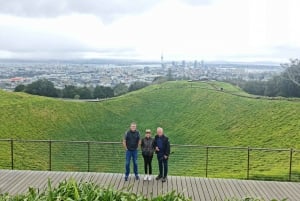 Lo mejor de la ciudad de Auckland en un tour de día completo