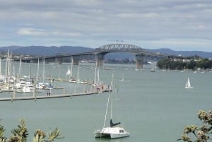 Auckland City Highlights Full Day Tour