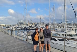 Auckland City Highlights Full Day Tour