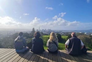 Auckland City Highlights Full Day Tour