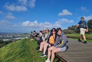 Lo mejor de la ciudad de Auckland en un tour de día completo