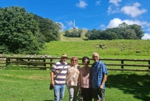 Lo mejor de la ciudad de Auckland en un tour de día completo