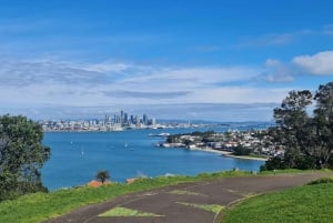 Lo mejor de la ciudad de Auckland en un tour de día completo