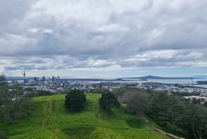 Auckland City Highlights Full Day Tour