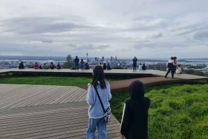 Lo mejor de la ciudad de Auckland en un tour de día completo