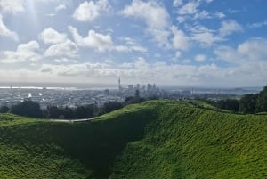 Lo mejor de la ciudad de Auckland en un tour de día completo