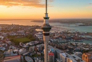 Auckland City Highlights Full Day Tour