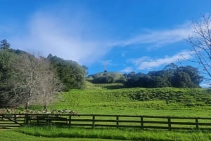 Lo mejor de la ciudad de Auckland en un tour de día completo