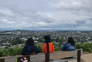 Auckland City Highlights Full Day Tour