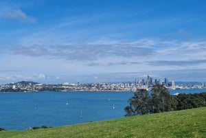 Auckland City Highlights Full Day Tour